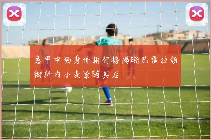 意甲中场身价排行榜揭晓巴雷拉领衔科内小麦紧随其后