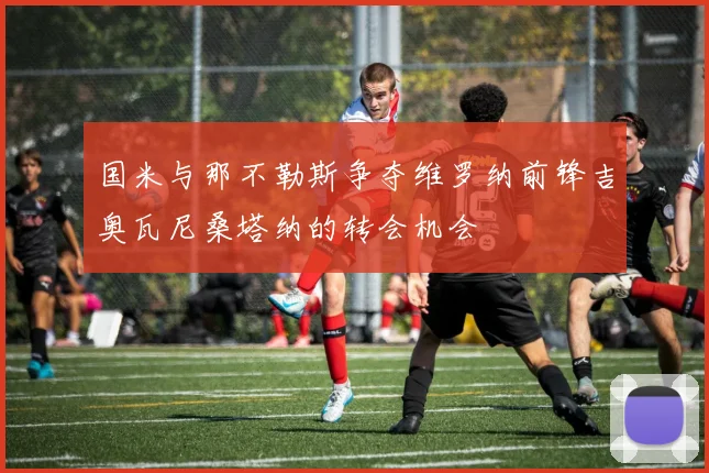 国米与那不勒斯争夺维罗纳前锋吉奥瓦尼桑塔纳的转会机会